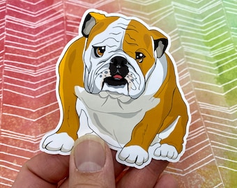 Bulldog Vinyl Sticker, Bulldog Decal Sticker, Dog Sticker, Dog Lover Sticker, Cute Sticker, English Bulldog, English Bulldog Sticker