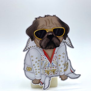 May include: A brown pug wearing sunglasses and a white Elvis Presley costume with gold accents and a red and blue belt. The pug is sitting down with its legs crossed.