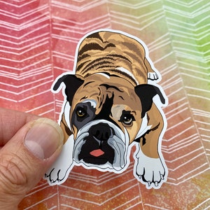 Bulldog Vinyl Sticker, Bulldog Decal Sticker, Dog Sticker, Dog Lover Sticker, Cute Sticker, Brindle Bulldog, English Bulldog Sticker