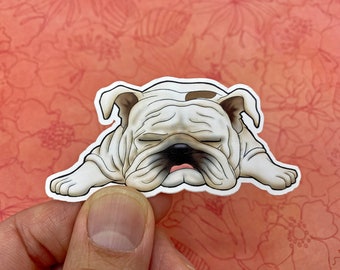 6in x 4in Red Chevron Proud Bulldog Vinyl Sticker