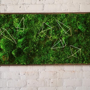 Moss Wall Art ~ Moss Art Work ~ REAL Preserved Moss ~ No Maintenance Required Moss &quot;Living&quot; Wall ~ 48x28&quot; ~ &quot;Geo&quot;