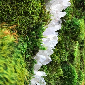 Moss Wall Art ~ Moss Art Work ~ REAL Preserved Moss ~ No Maintenance Required Moss &quot;Living&quot; Wall ~ 36x24&quot; ~ &quot;Crystallized&quot;