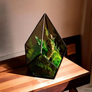 Preserved Moss Art Terrarium, Real Moss Decor, Living Moss Art Terrarium, Living Plant Art, Moss Terrarium Decor, Eco Friendly Home Decor