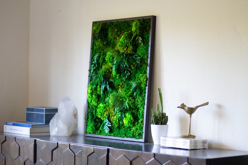 Preserved Moss Art Framed Real Moss Decor Living Moss Wall Etsy Canada