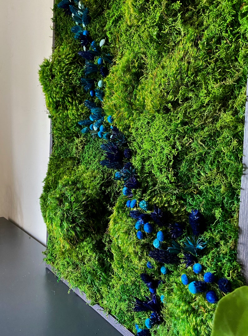 Preserved Moss Art Framed Real Moss Decor Living Moss Wall Etsy Nederland