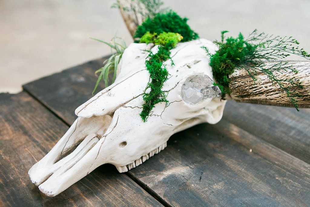 Moss Wall Skull Art Moss Decorated Faux Steer Skull Moss Etsy