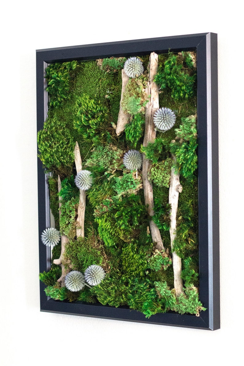 Preserved Moss Art Framed Real Moss Decor Living Moss Wall Etsy