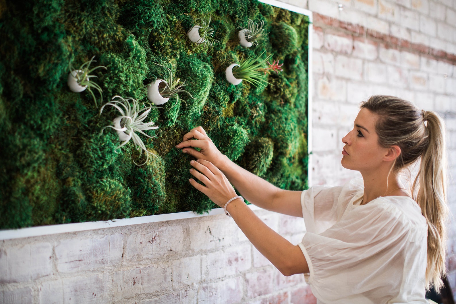 Preserved Moss Art Framed Real Moss Decor Living Moss Wall Etsy UK