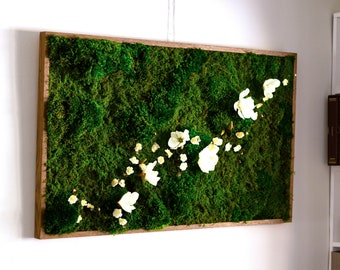 Preserved Moss Art Framed, Real Moss Decor, Living Moss Wall Art Large, Living Plant Wall Art, Eco Friendly Home Decor, Unique Gift