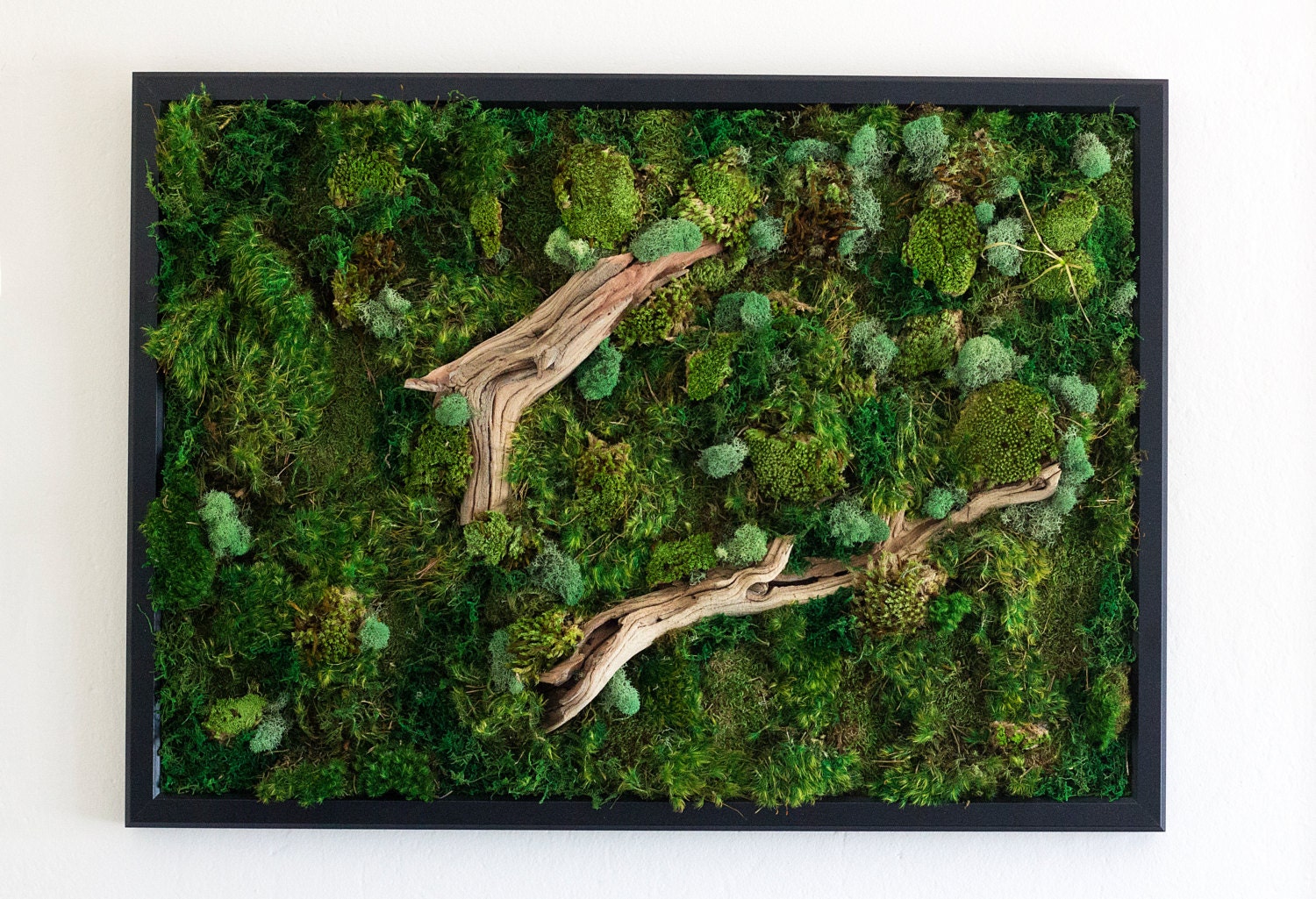 This one of a kind moss wall art is made from real preserved moss and requi...