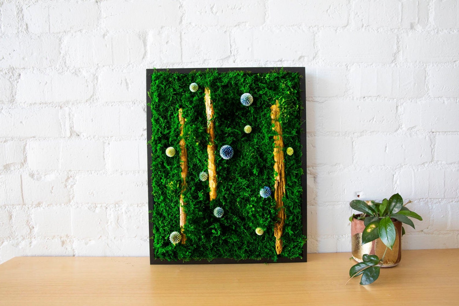 Preserved Moss Art Framed Real Moss Decor Living Moss Wall Etsy