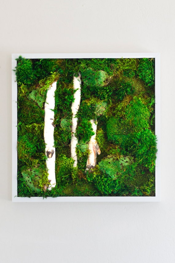 Moss Wall Art Moss Art Work REAL Preserved Moss No | Etsy