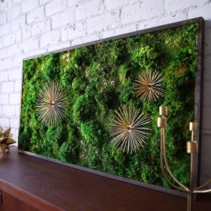 Moss Wall Art ~ Moss Art Work ~ REAL Preserved Moss ~ No Maintenance Required Moss &quot;Living&quot; Wall ~ 48x28&quot; ~ &quot;Star Burst&quot;