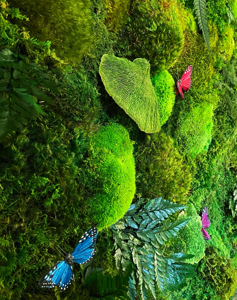 Preserved Moss Art Framed Real Moss Decor Living Moss Wall Etsy