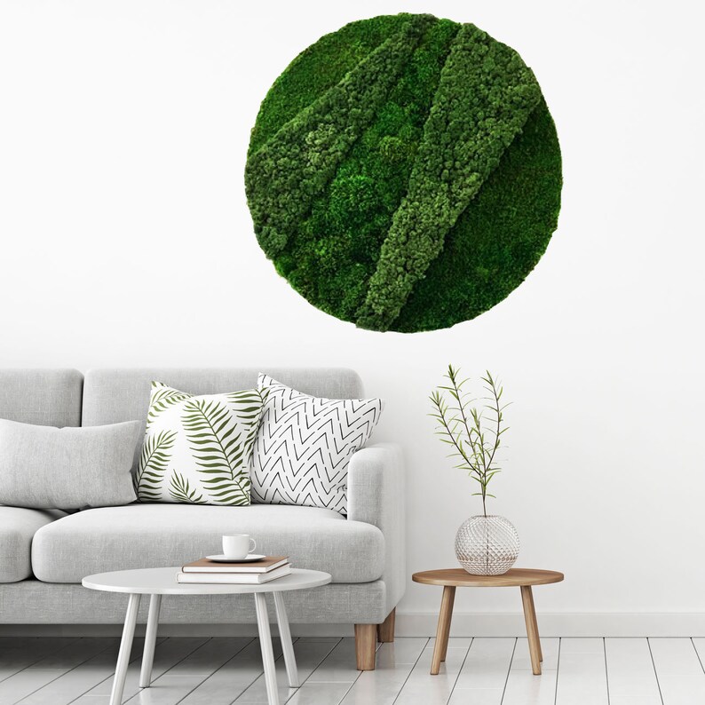Preserved Moss Art Round Real Moss Decor Living Moss Wall Etsy