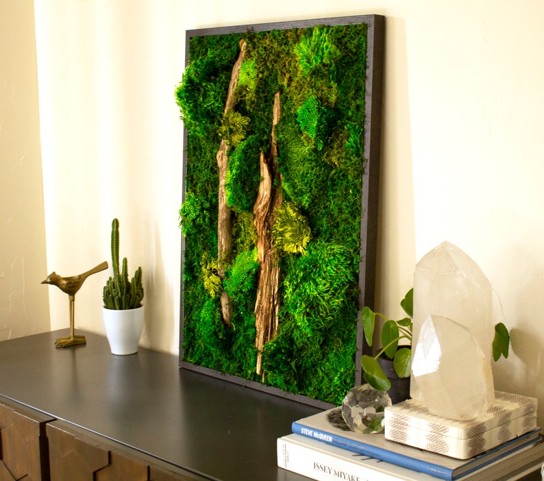 Preserved Moss Art Framed Real Moss Decor Living Moss Wall Etsy
