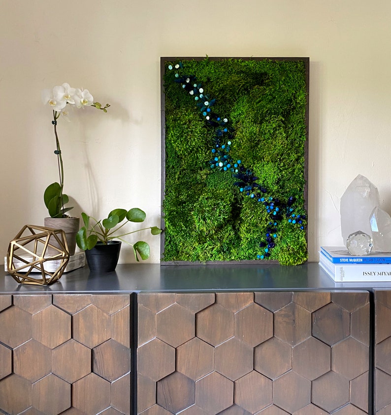Preserved Moss Art Framed Real Moss Decor Living Moss Wall Etsy Nederland