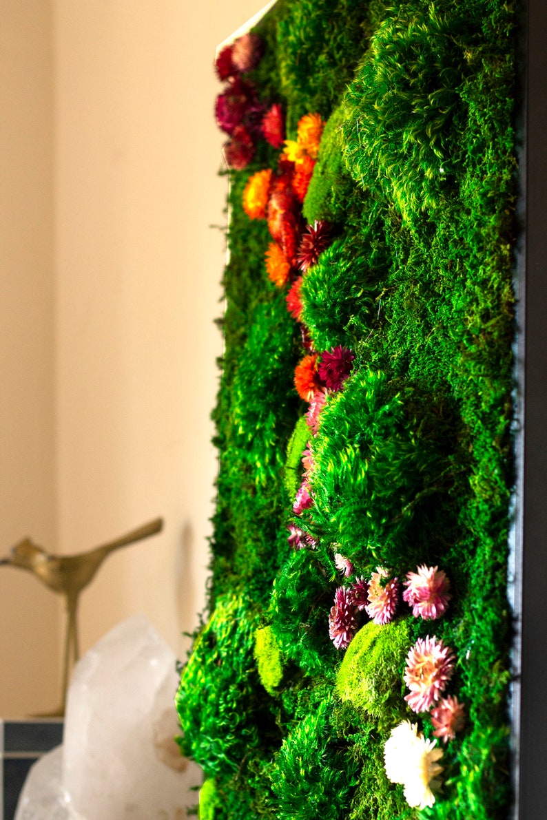 Preserved Moss Art Framed Real Moss Decor Living Moss Wall Etsy Australia