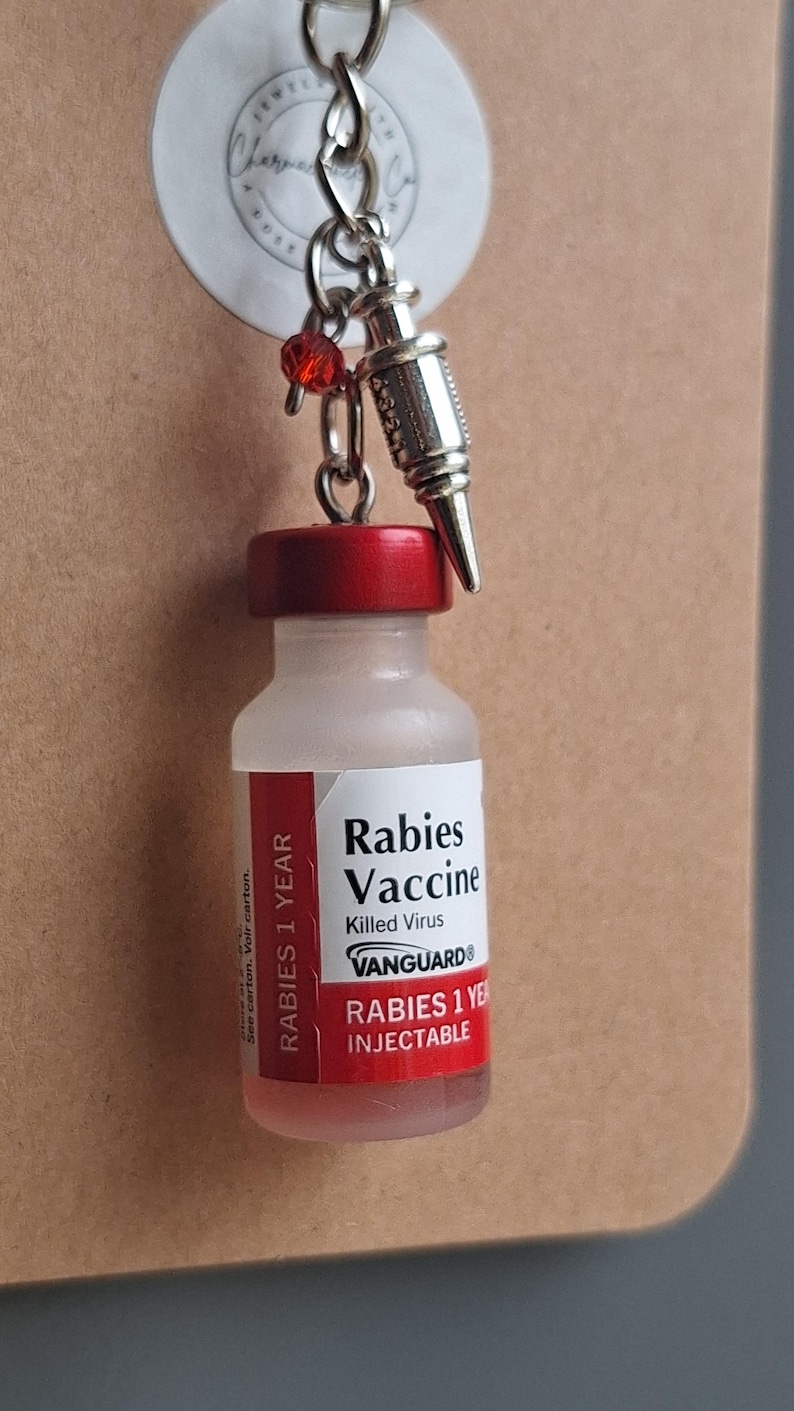 Rabies Vaccine Vial Earrings or Keychain | Vet Tech Gift | Veterinary Medicine Jewelry | Animal Hospital Accessories image 6