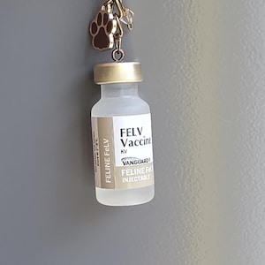 May include: A keychain featuring a miniature frosted glass vial labeled FELV Vaccine KV VANGUARD FELINE FELV INJECTABLE with a gold-toned cap. Attached to the bronze-colored chain is a small brown paw print charm and a clear bead accent.
