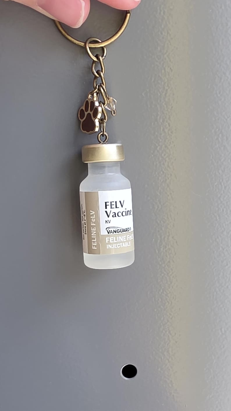 May include: A keychain featuring a miniature frosted glass vial labeled FELV Vaccine KV VANGUARD FELINE FELV INJECTABLE with a gold-toned cap. Attached to the bronze-colored chain is a small brown paw print charm and a clear bead accent.