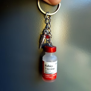 Rabies Vaccine Vial Earrings or Keychain | Vet Tech Gift | Veterinary Medicine Jewelry | Animal Hospital Accessories image 8