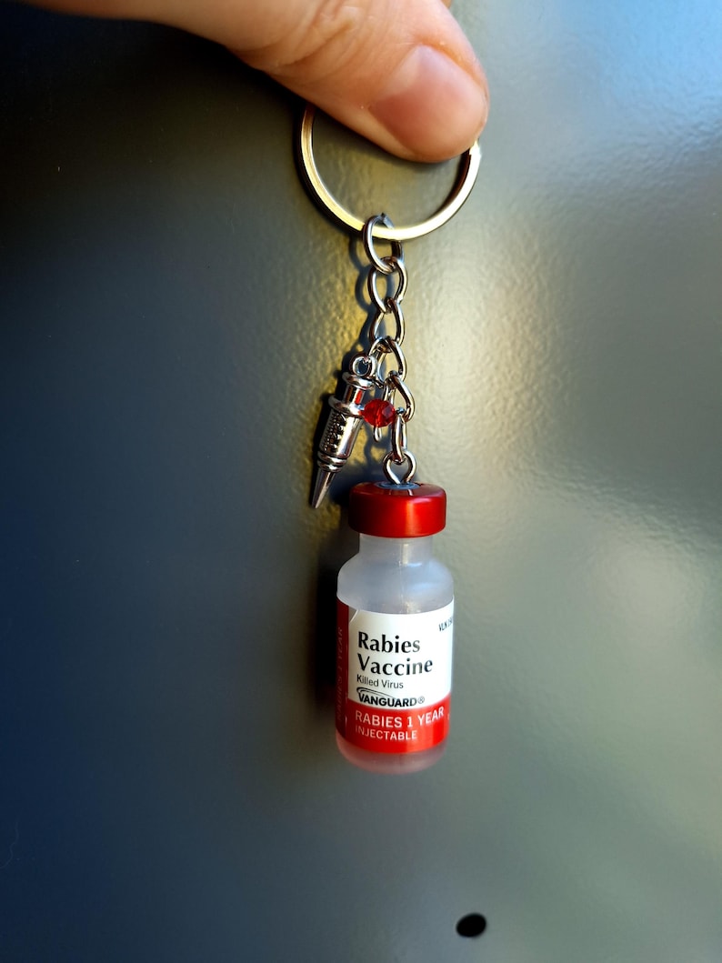 Rabies Vaccine Vial Earrings or Keychain | Vet Tech Gift | Veterinary Medicine Jewelry | Animal Hospital Accessories image 8