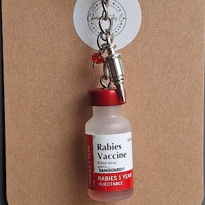 Rabies Vaccine Vial Earrings or Keychain | Vet Tech Gift | Veterinary Medicine Jewelry | Animal Hospital Accessories image 7