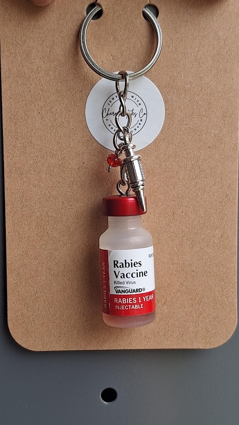 Rabies Vaccine Vial Earrings or Keychain | Vet Tech Gift | Veterinary Medicine Jewelry | Animal Hospital Accessories image 7