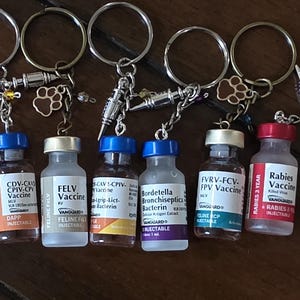 Peut inclure: Un ensemble de sept porte-clés composés de flacons en verre miniatures étiquetés comme divers vaccins pour animaux, notamment Rabies, DAPP, FELV et Bordetella. Chaque porte-clés comprend un anneau en métal argenté, une breloque seringue et une perle.