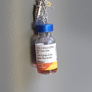 May include: A keychain featuring a miniature glass vial with a blue cap and an orange label reading CDV-CAV2-CPIV-CPV Vaccine Lcan-Lgrip-Lict-lpom Bacterin VANGUARD DAPP-L4 INJECTABLE, attached to a silver metal ring with a small silver syringe charm.
