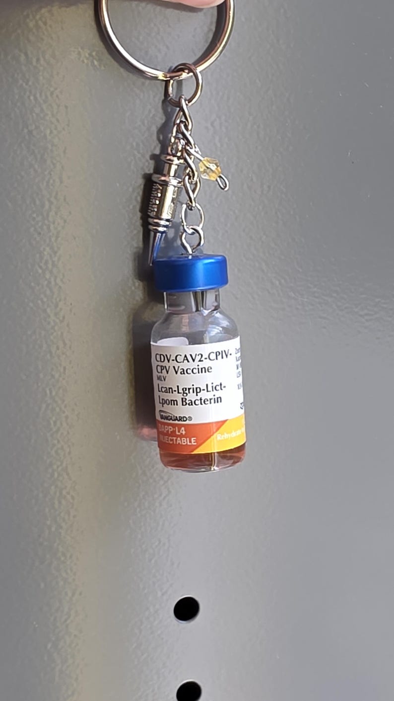 May include: A keychain featuring a miniature glass vial with a blue cap and an orange label reading CDV-CAV2-CPIV-CPV Vaccine Lcan-Lgrip-Lict-lpom Bacterin VANGUARD DAPP-L4 INJECTABLE, attached to a silver metal ring with a small silver syringe charm.