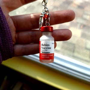 Rabies Vaccine Vial Earrings or Keychain | Vet Tech Gift | Veterinary Medicine Jewelry | Animal Hospital Accessories image 5