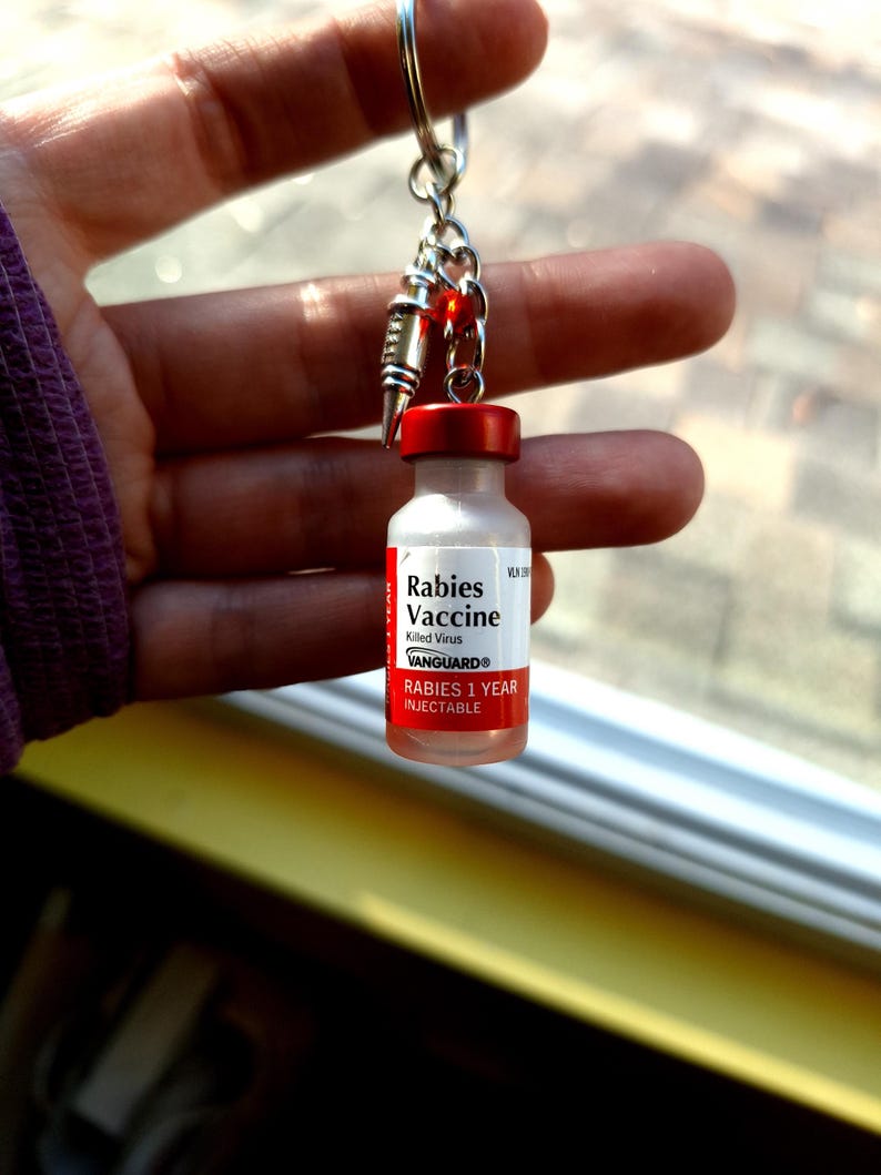 Rabies Vaccine Vial Earrings or Keychain | Vet Tech Gift | Veterinary Medicine Jewelry | Animal Hospital Accessories image 5