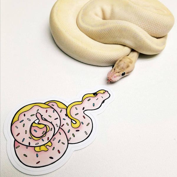 Donut Snake Sticker Original