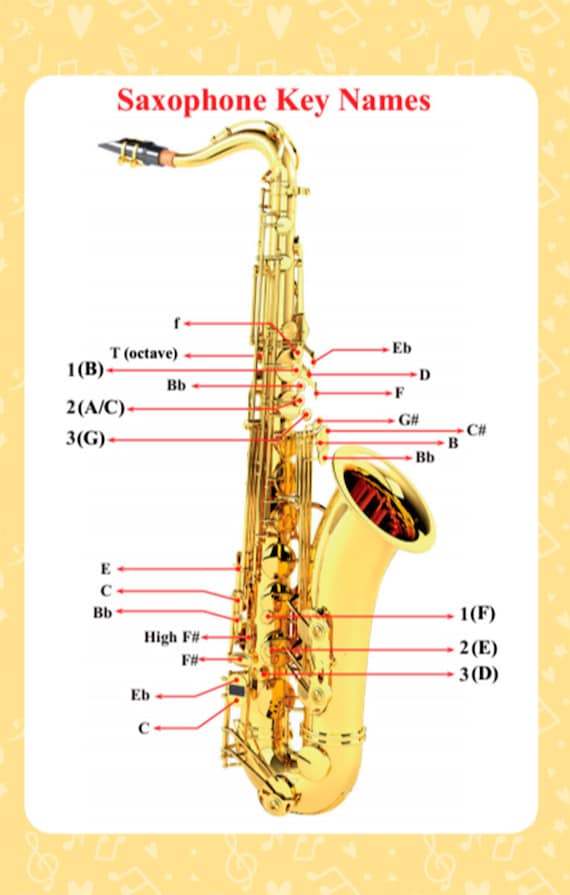 Tenor Saxophone. Colorful Full Range Fingering Chart 