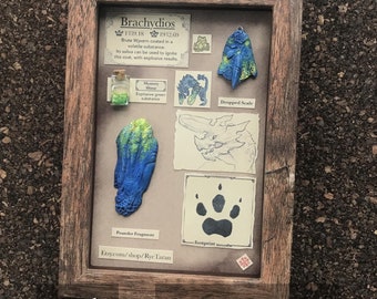 CUSTOM Shadowbox Monster Specimen Collection | 4x6, Framed, Hand sculpted, Hand painted Faux Taxidermy