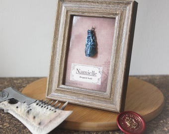 Display for Dropped Monster Scales | 2x3 Display Frame ONLY, Faux Taxidermy, Specimen Display
