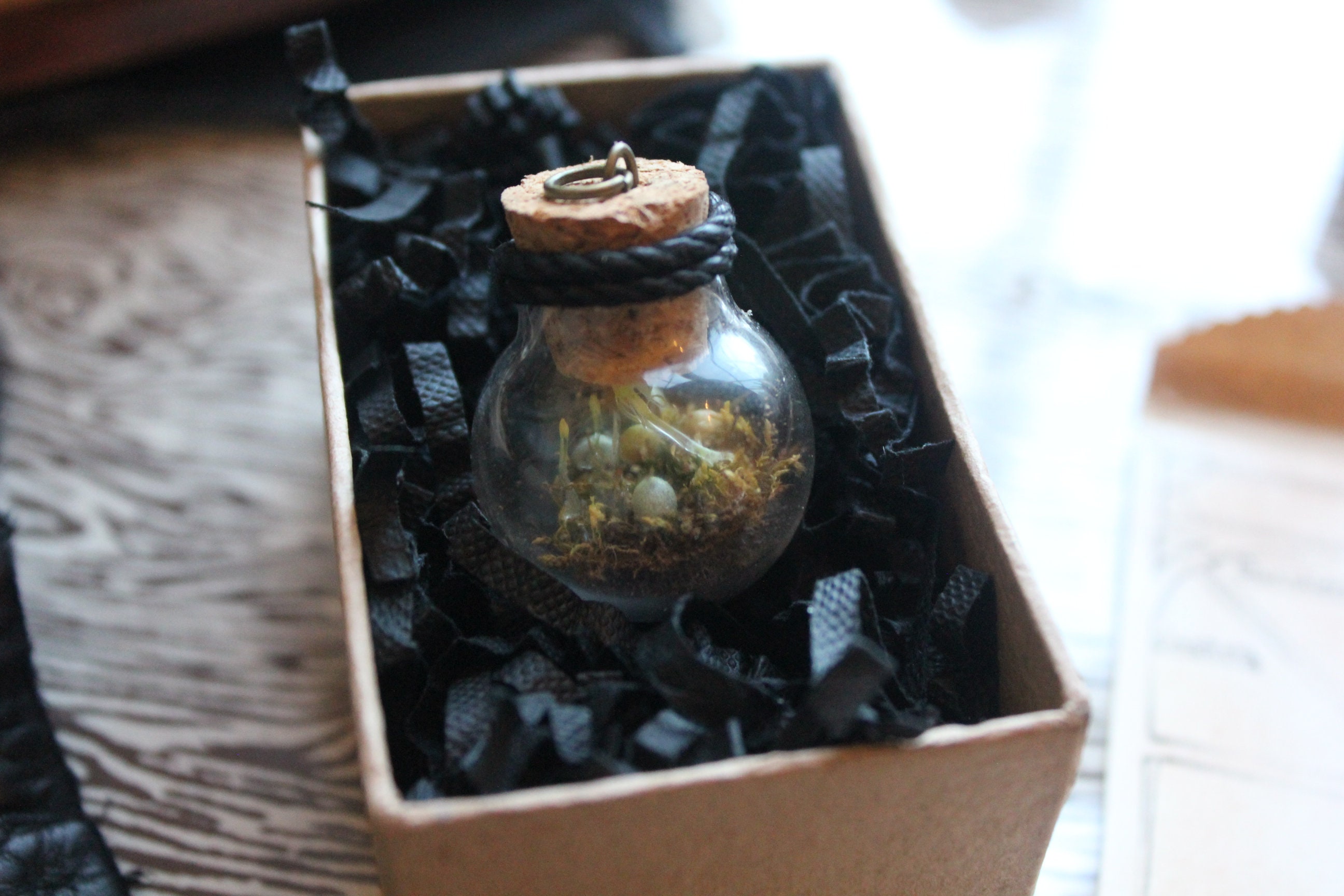 Light 5E DnDInspired Spell Material Component Bottle Etsy