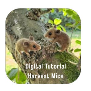 Digital Tutorial Harvest Mice -Complete with 100 pictures step by step and explanations. BONUS the tutorial for Poppy Pods