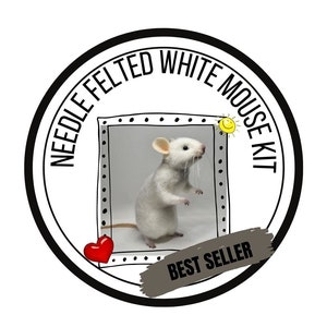 KIT for Needle felting Mouse ,felting kit,white mouse DIY kit
