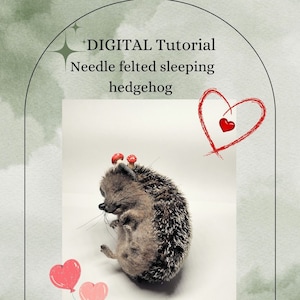 DIGITAL TUTORIAL for sleeping hedgehog,this is only the PDF file not the kit,Instructions for sleeping hedgehog without materials