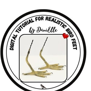 DIGITAL TUTORIAL for how to make realistic bird&#39;s feet,PDF file