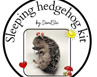 KIT for needle felted sleeping hedgehog,DIY hedgehog,wool hedgehog,felting kit