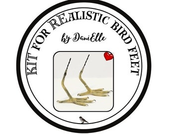 KIT para pés de pássaros REALISTAS