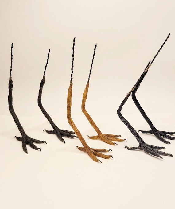White Bird Feet for Needle Felting & Modelling - 2 pairs White Bird Feet for Needle Felting & Modelling - 2 pairs