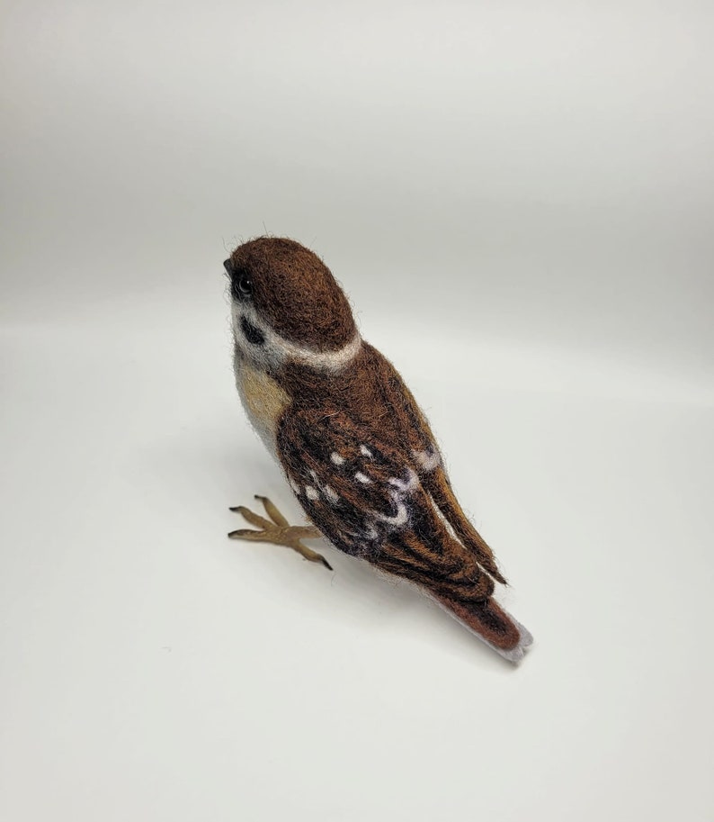 KIT Needle felted sparrow ,wool bird KIT, DIY sparrow image 5