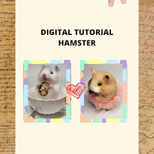 Könnte beinhalten: Digitales Tutorial zum Nähen eines Stoffhamsters. Zwei Stoffhamster sind abgebildet, einer hält ein Brezel und der andere trägt einen rosa Tutu.