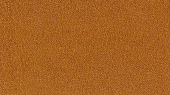 Craft Sha Tragacanth Substitute Leather burnish gum (gloss type)