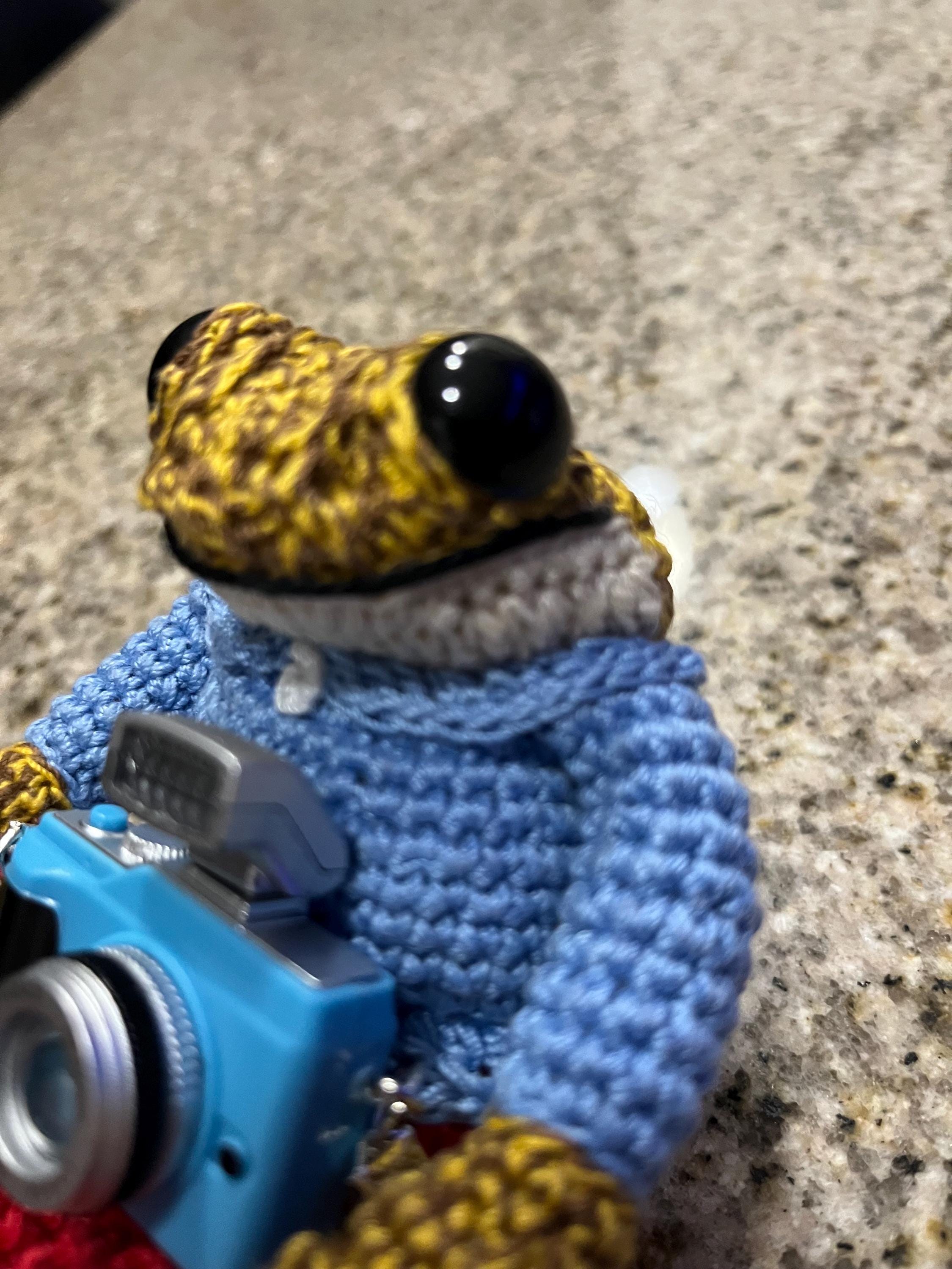 Sapo Concho - Etsy